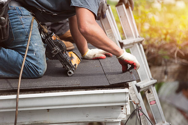 Best Roof Gutter Cleaning  in Nisswa, MN
