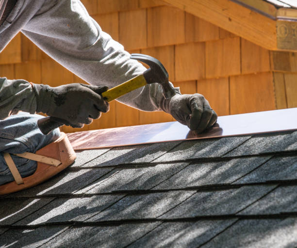 Best Metal Roofing Contractor  in Nisswa, MN